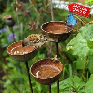 3Pcs Rain Catchers for Garden