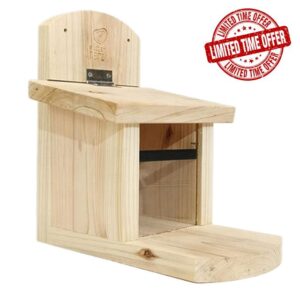 Squirrel Feeder for Outside
