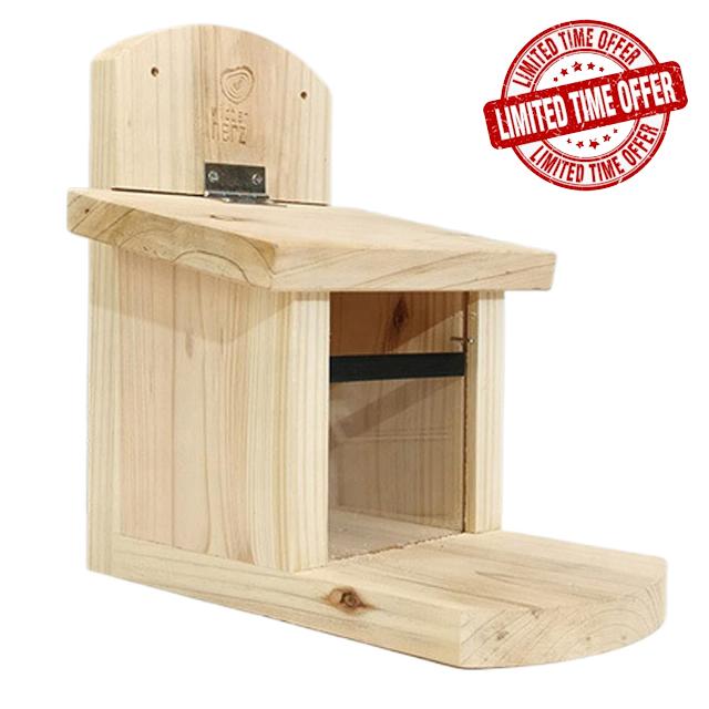 Squirrel Feeder for Outside
