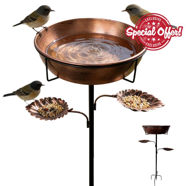 Bird Baths