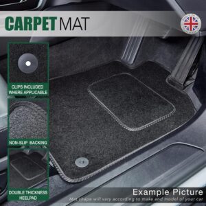 Carpet)