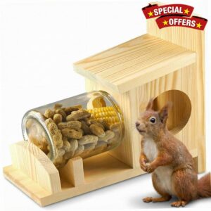 Squirrel Feeders for Outside