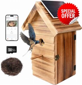 Bird Box with Camera