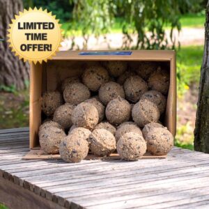 CJ Wildlife Fat Balls for Wild Birds – Suet Balls with Insects – Soft Fat