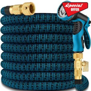 100ft Expandable Garden Hose Pipe