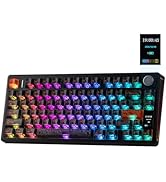 Series of computer keyboards with RGB backlight illumination, showing different color patterns and lighting effects across multiple views.
