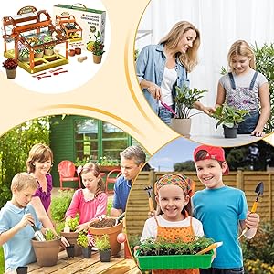 Enhanced Seedling Development