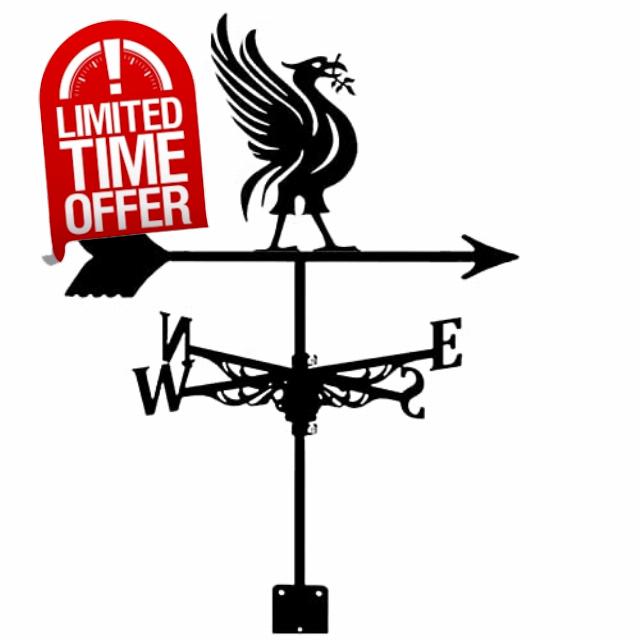 Roof Install vane Black Metal weathervane Classic Liver Bird Indicator with Install Bracket for Barn Gazebo Outdoor Garden Yard Decorate