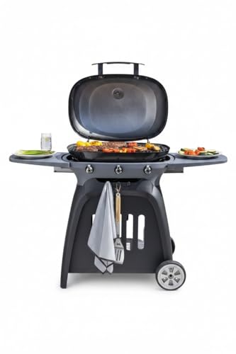 Cast Iron Enamel Grill