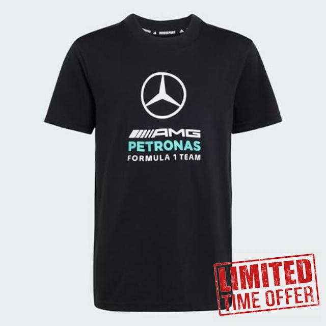 adidas Mercedes - AMG Petronas Formula 1 Team DNA Graphic T-Shi
