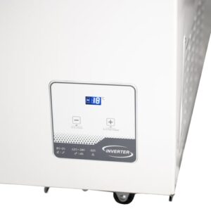 Electronic Thermostat