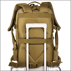 aplus content image