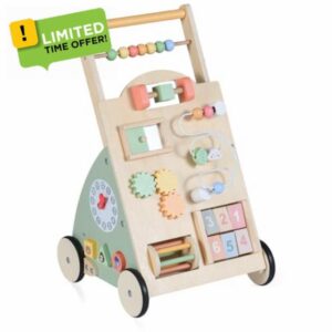 Maxmass 10 in 1 Baby Walker