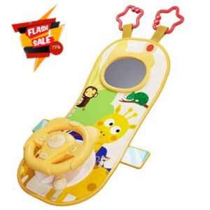Rear Facing Car Seat Toys