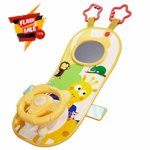Rear Facing Car Seat Toys