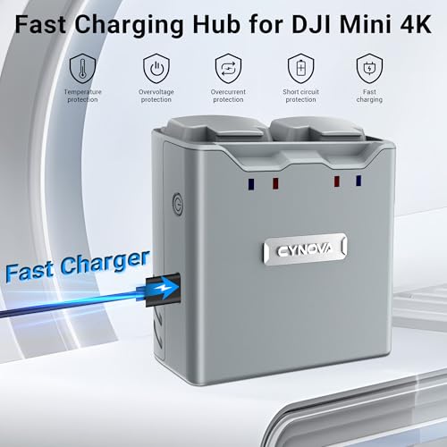 30W Intelligent Dual Battery Charge
