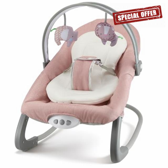 Baby Bouncer