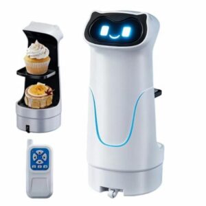 Delivery Robot Toy - RC STEM Robotics Device