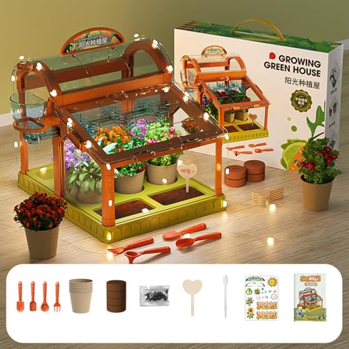 Kid Mini Greenhouse Educational Gardening Toy