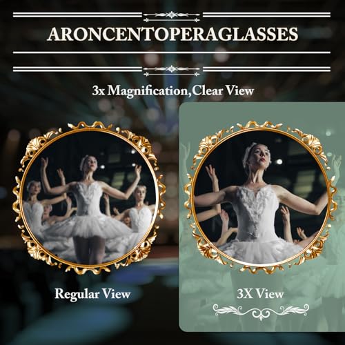 Ideal for Concert Theater Opera