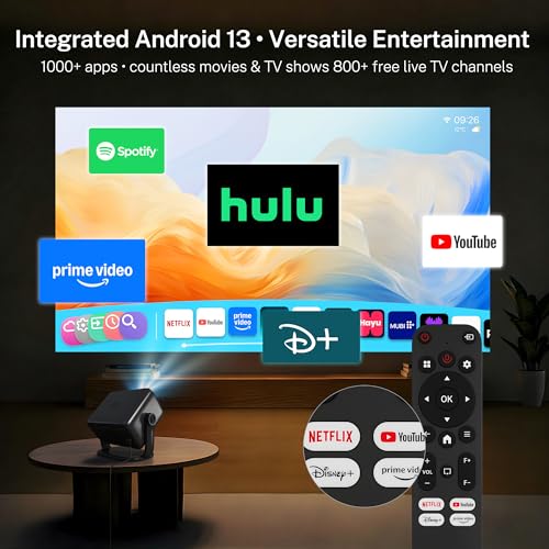 Compatible with Netflix