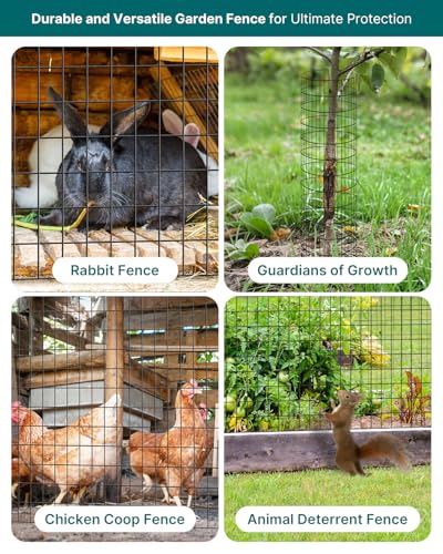 Deer and Other Animals