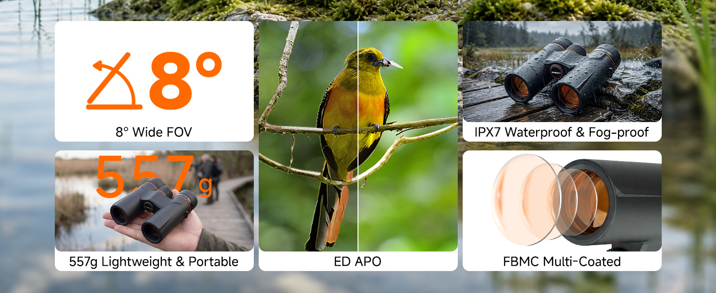 aplus content image