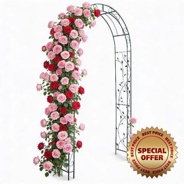 Crystals 2.4m Metal Garden Archway – Outdoor Climbing Plant Support Arbour