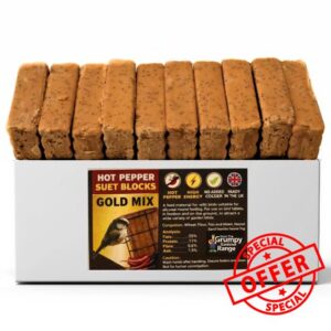 Peanut Butter Bird Suet Cakes – Squirrel Proof