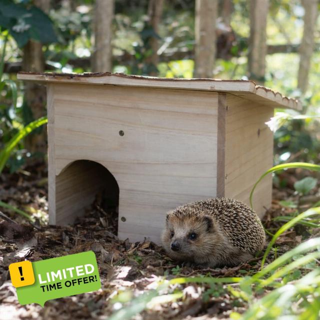 CKB LTD Build Your Own Hedgehog Wooden Hedgehogs or Guinea Pig House Outdoor Shelter Outside Habitat House – DIY Hotel Can Also Be Used For Hibernation Home For Garden Shelter 35 x 28 x 24cm | Build Your Ow
