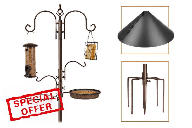 Nord & Vale Premium Bird Feeding Station 230cm Copper Finish – Complete Garden Bird Feeder Set with Squirrel Baffle