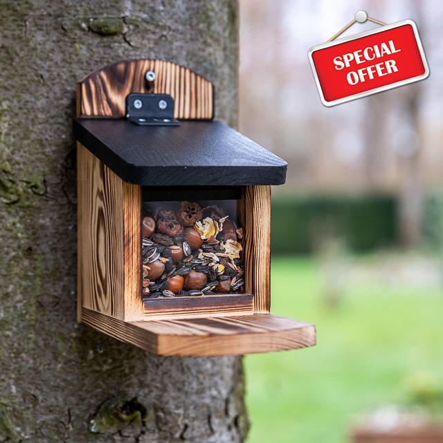 CJ Wildlife Squirrel Feeder for Garden – Squirrel Box – FSC-Certified Pine Wood with Flamed Finish – See-Through Window – Easy Clean Desig