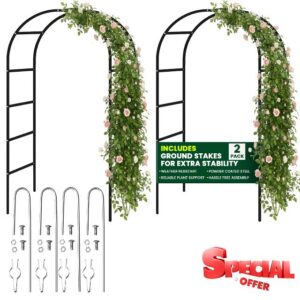 Metal Garden Arch 2.4M with Ground Stakes - 2 Pack Garden Arbour Arch Florence Trellis Plant Support for Roses Flowers - Climbing Plants Archway Indoor Outdoor Wedding Decoratio