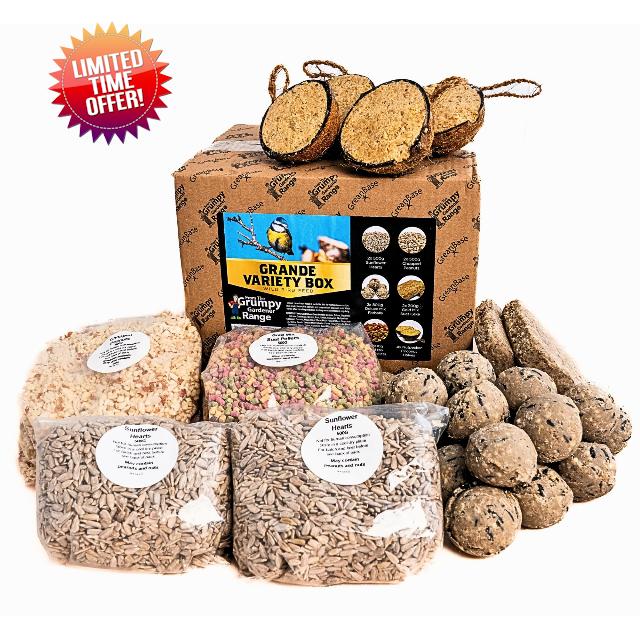 Wild Bird Food Variety Box Grande – Fat Balls