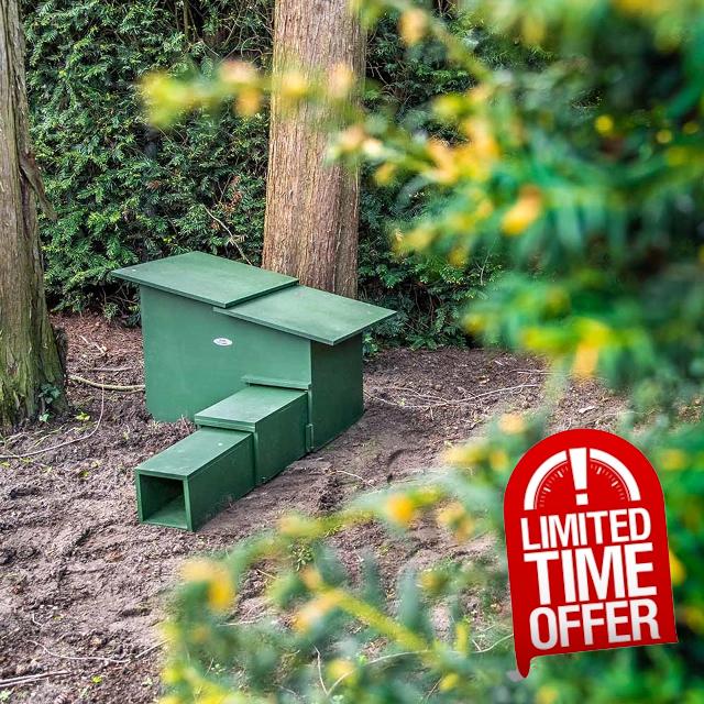 CJ Wildlife Hedgehog House for Garden – Hedgehog House – Wood FSC 100% Green with Removable Roof and Ventilation for Breeding and Hibernatio