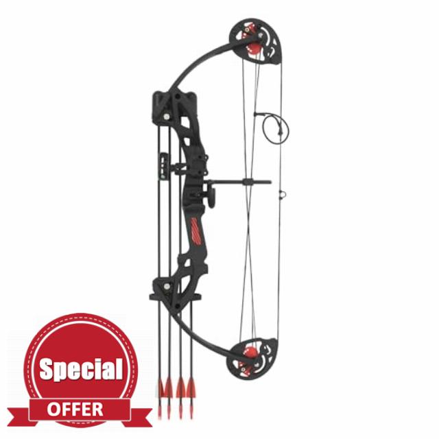 16-29lbs 260FPS Compound Bow and Arrow Set