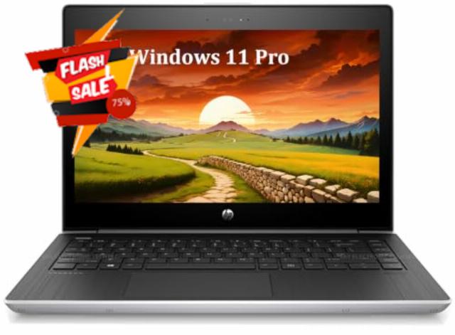 HP ProBook MT31 Mobile Thin Client Business Laptop