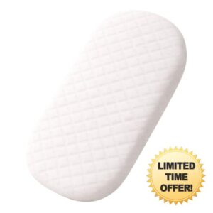 Baby Birds SAFE Chemical-Free Pram & Moses Basket Mattress