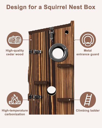 Smart Squirrel House for Outside Nesting