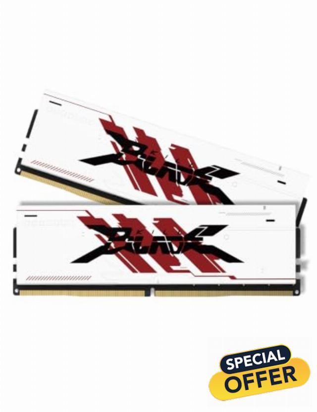 PUSKILL 32GB Kit (2x16GB) DDR4 RAM 3200MHz PC4-25600 Desktop Memory with Aluminum Heatsink