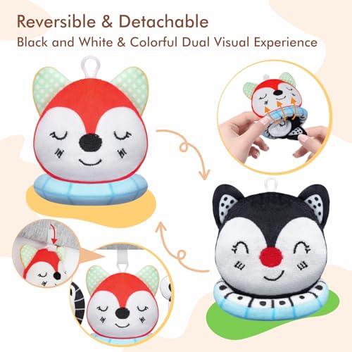 3pcs Reversible Animal Plushie 3-Inch Two-Sided Flip Plush Toy in Black and White & Colorful Design