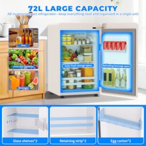 72L Compact Refrigerator