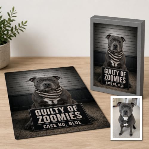 Funny Dog Cat Prison Puzzle Gift with Printed Box Keepsake Activity