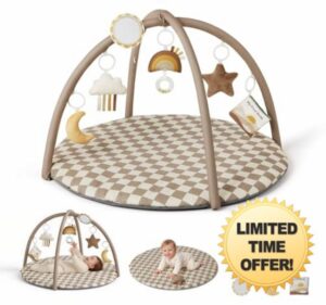 Blissful Diary Baby Play Gym Mat
