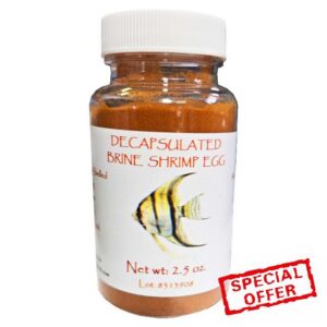 Decapsulated Brine Shrimp Eggs (Non-Hatching)