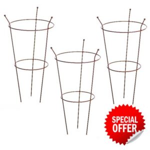 Medium Peony Frame Outdoor Heavy Duty Herbaceous Garden Plant Support Ring for Perennial Flowers Border Cage 63cm x 34cm (3 x Frame Rust)