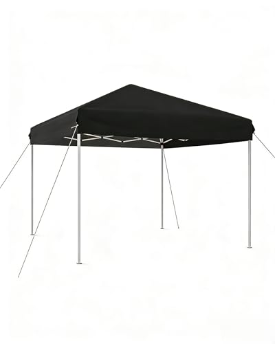 Window for European-Style Tent