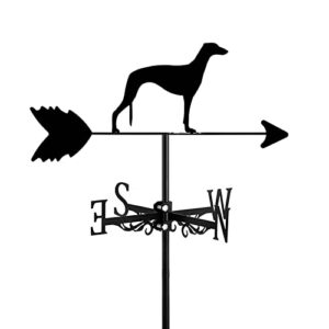 Greyhound(Greyhound)