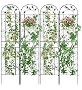 The Fellie 4 Pack 220cm Tall Metal Garden Trellis for Climbing Plants | Decorative Trellis Fence ...