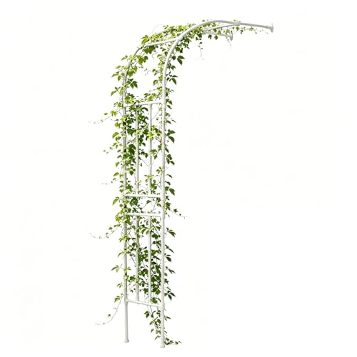 60-300 cm Metal Arbor with Plastic-Coated Steel